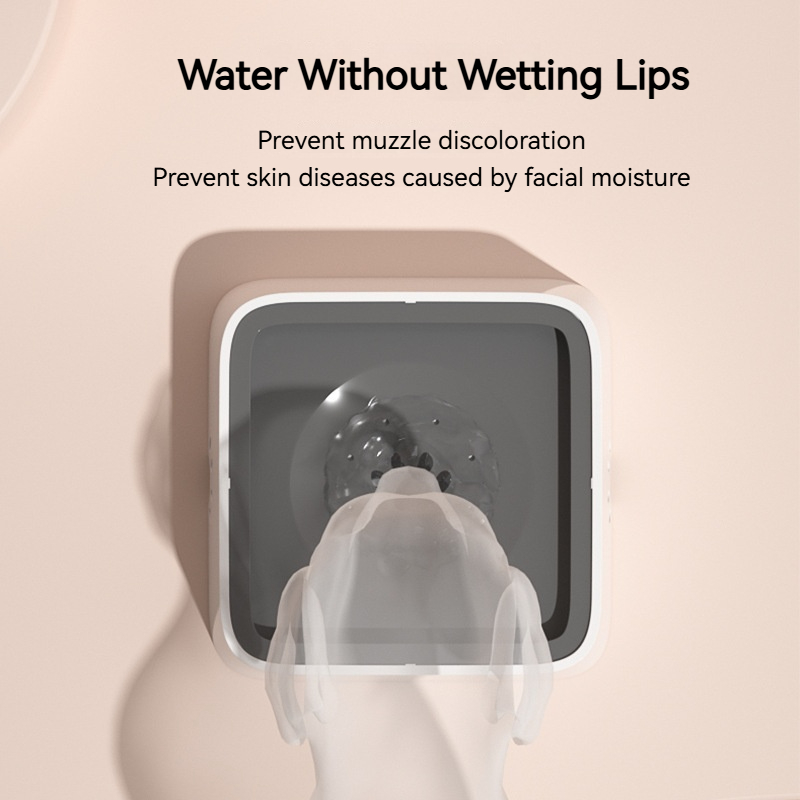 Ciotola d'Acqua per Animali Do - Formula Dispenser Portable recensione e prezzo