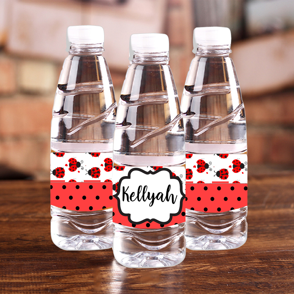 Coccinella personalizzata Bott - Baby Food Flavors recensione e prezzo